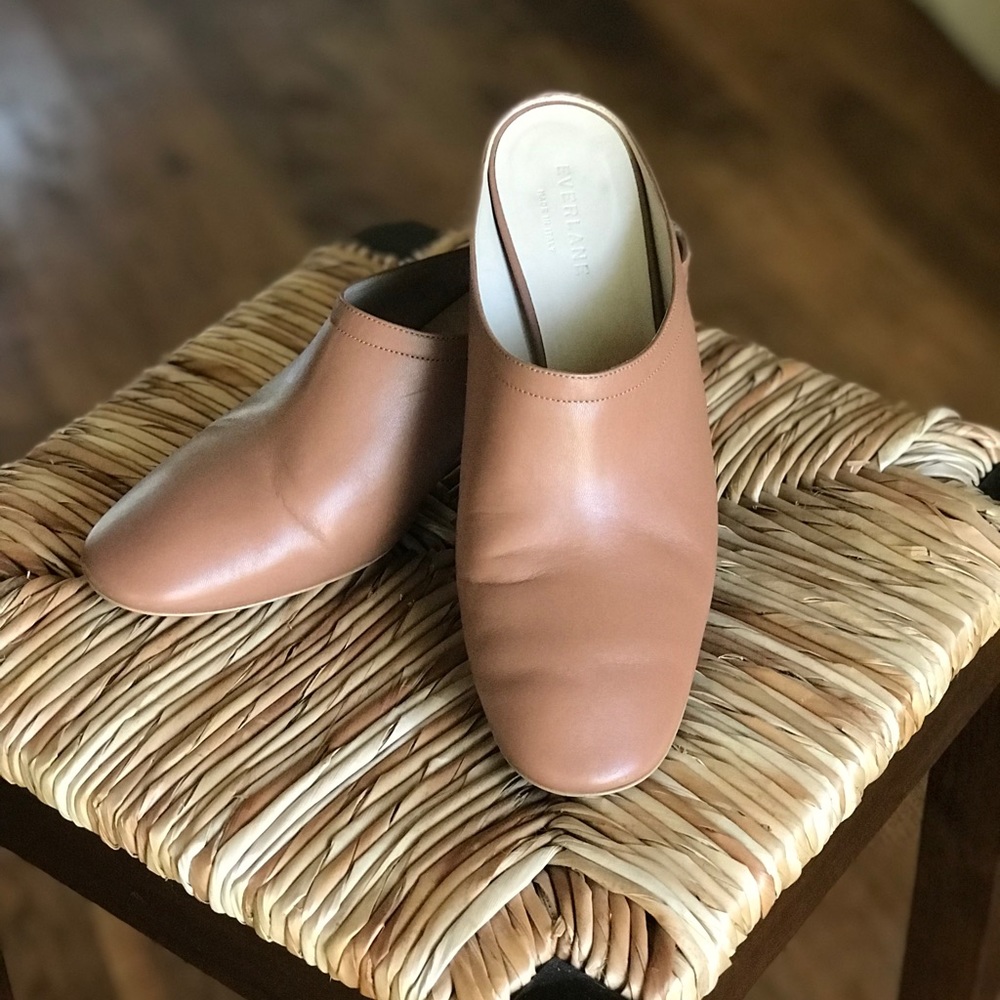 Everlane Day Block Heel Mule in Cognac